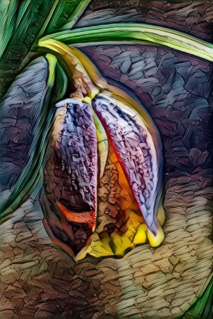 Tiled Image