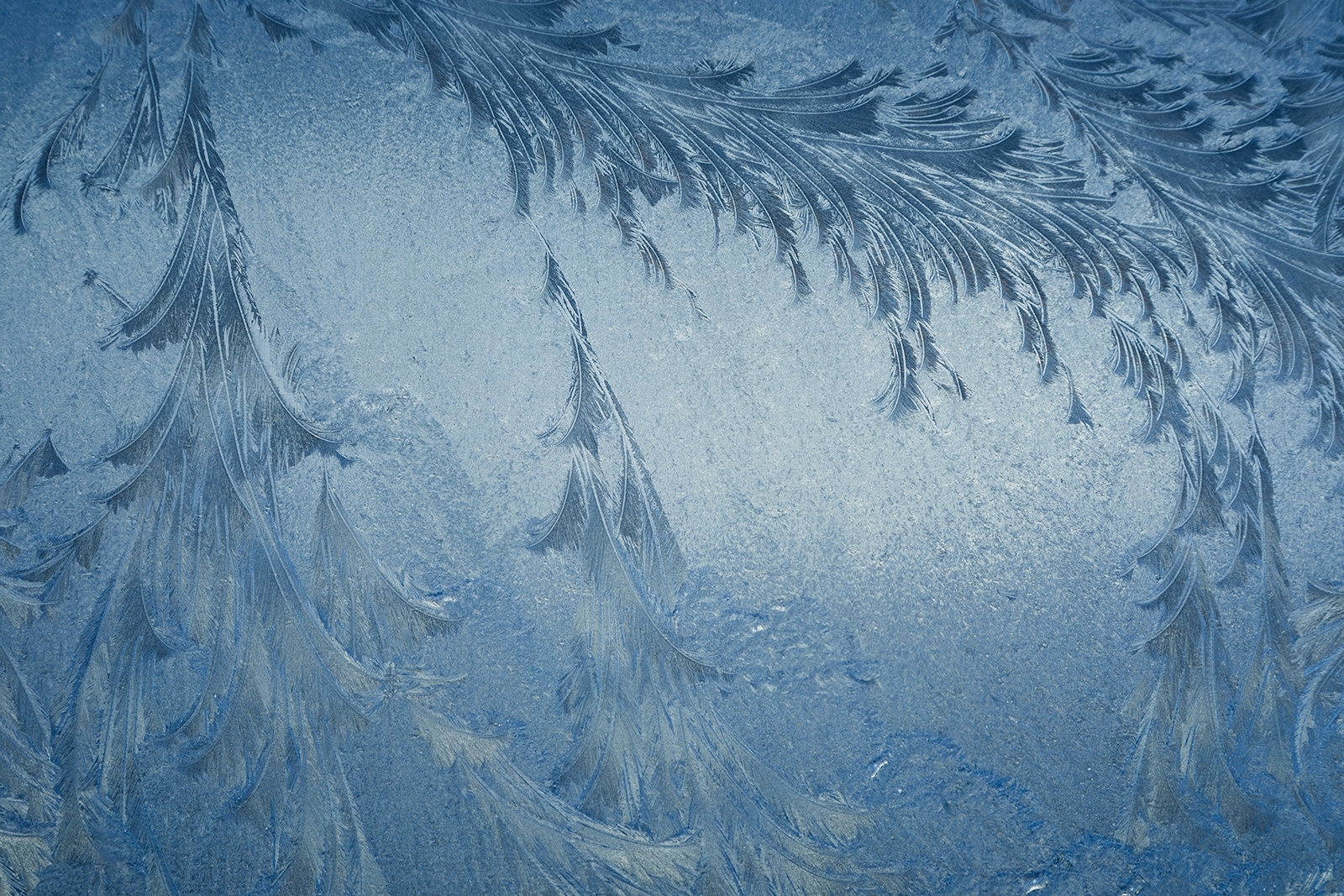 Tiled Image